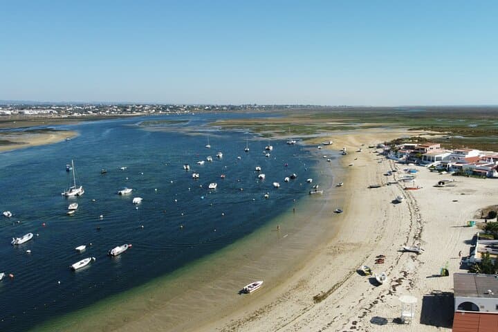 Kayak Armona Island: 2-Hour Eco Tour in Ria Formosa Natural Park photo 6
