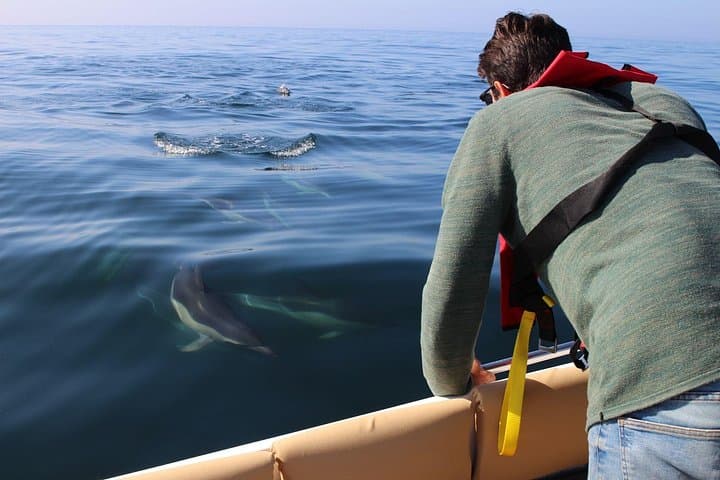 Dolphin Watching and Wildlife Trip from Faro — Ria Formosa Boat Tour photo 1
