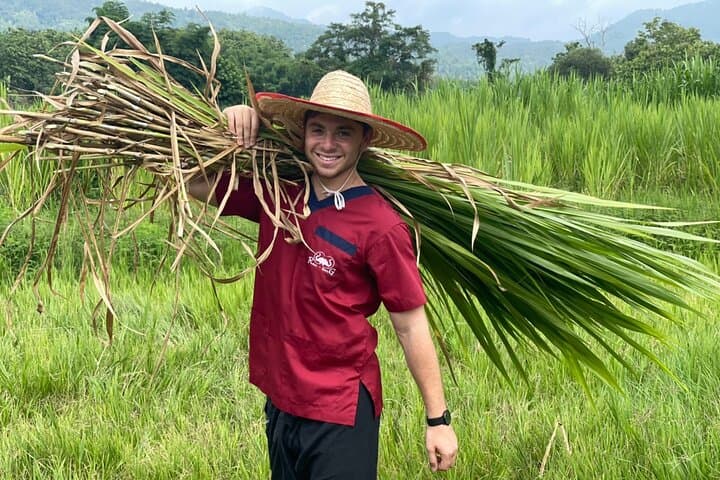 Ran-Tong Half-Day Elephant Experience: Chiang Mai Sanctuary Visit & Mahout School photo 3
