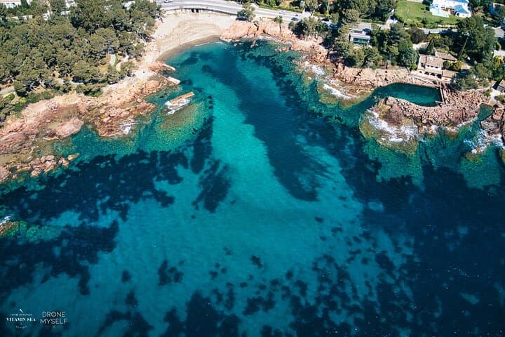 Snorkeling Cap Dramont & Île d'Or — 90-Min Boat Trip from Saint-Raphaël photo 3
