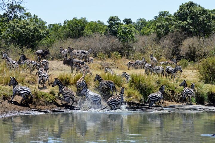 Masai Mara Classic Safari: Big Five Game Drives & Optional Maasai Village Visit photo 2