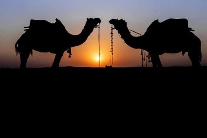 Overnight Camel Safari in Jaisalmer: Private Sand-Dune Camp Experience photo 2