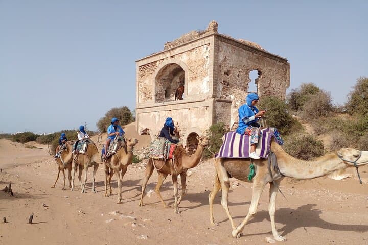 Essaouira Camel or Quad Adventure: Coastal Ride with Pickup