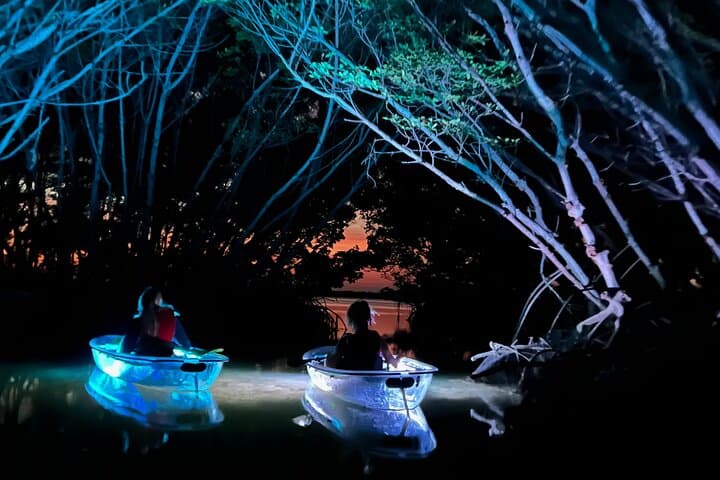 Shell Key Clear Kayak Glow Tours: Sunset & Night Paddle in Madeira Beach photo 5
