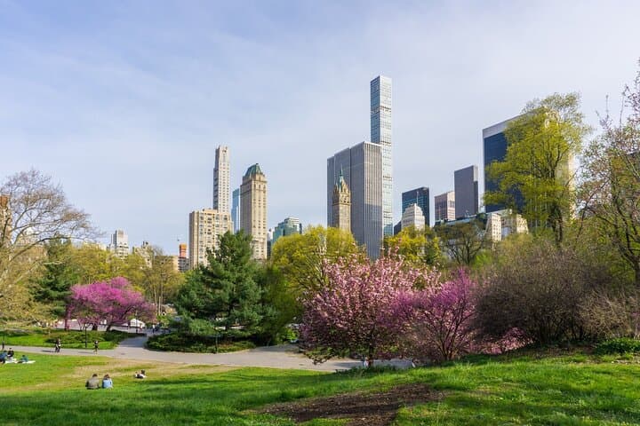 Private Central Park Walking Tour with Carousel Ride — 3-Hour NYC Guided Experience