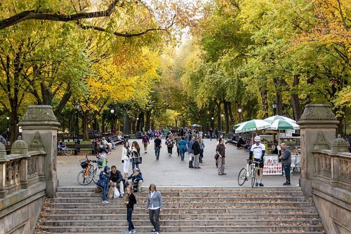 Private Central Park Walking Tour with Carousel Ride — 3-Hour NYC Guided Experience photo 2