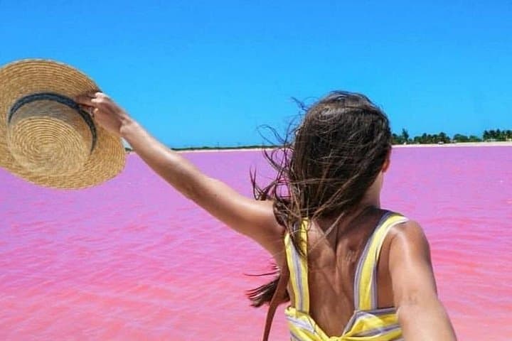 Las Coloradas Pink Lake & Río Lagartos Wildlife Day Trip from Tulum photo 4