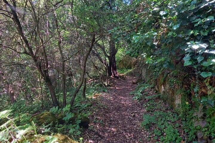Cavagrande Hiking Tour — 6km Loop to Sicily’s Natural Rock Pools photo 3