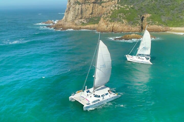 Knysna Sunset Sailing: Braai & Bubbly on the LaraBella