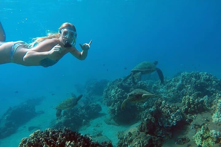 Snorkel with Sea Turtles in San Juan: Guided Tour with GoPro Video photo 1