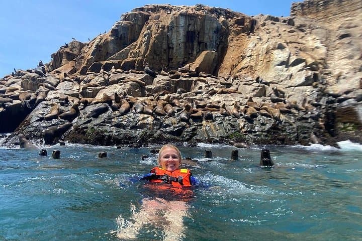 Swim with Sea Lions at Isla Palomino — Morning Tour from Lima photo 1