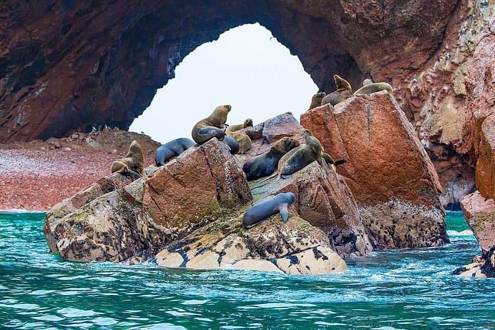 Full-Day Paracas, Ballestas Islands, Huacachina Oasis & Wine Tasting from Lima photo 1