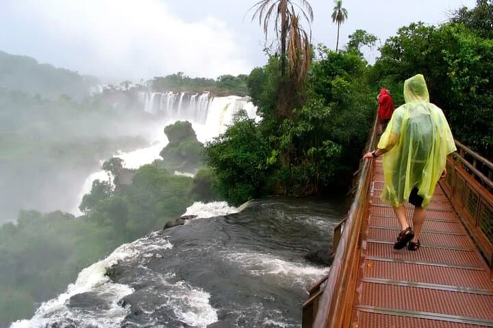 Iguazú Falls Full-Day Tour: Walk the Circuits & Reach Devil's Throat