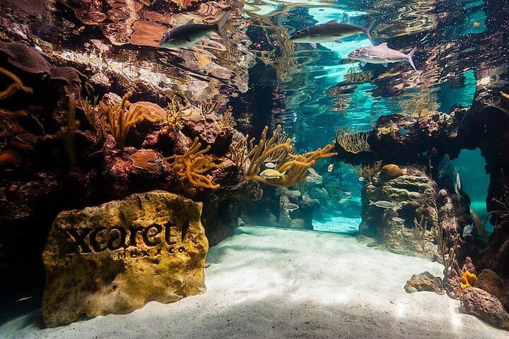 Xcaret All-Inclusive Day: Underground Rivers, Beaches & Mexican Folklore photo 5