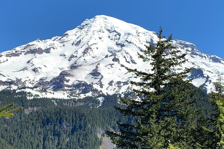 Guided Hikes at Mt. Rainier: Paradise Day Tour from Seattle photo 5