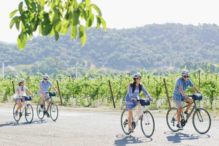 Half-Day Napa Valley E-Bike Wine Tour — Ride to a Local Winery photo 3