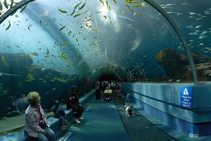 Ultimate Atlanta Walking Tour: Downtown Sights, Culture & Food photo 3