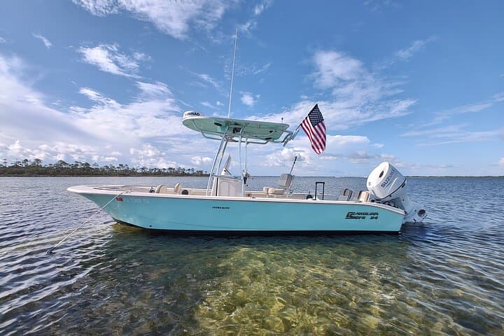 Private 2-Hour Dolphin & Shell Island Sightseeing Tour — Panama City Beach