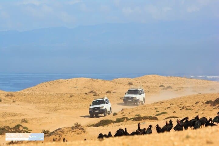 Mini Sahara Private Jeep Tour with Lunch — Agadir to Souss-Massa Day Adventure photo 4