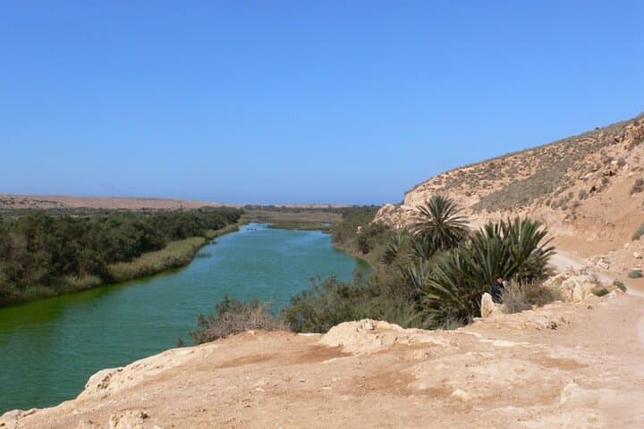 Mini Sahara Private Jeep Tour with Lunch — Agadir to Souss-Massa Day Adventure photo 2