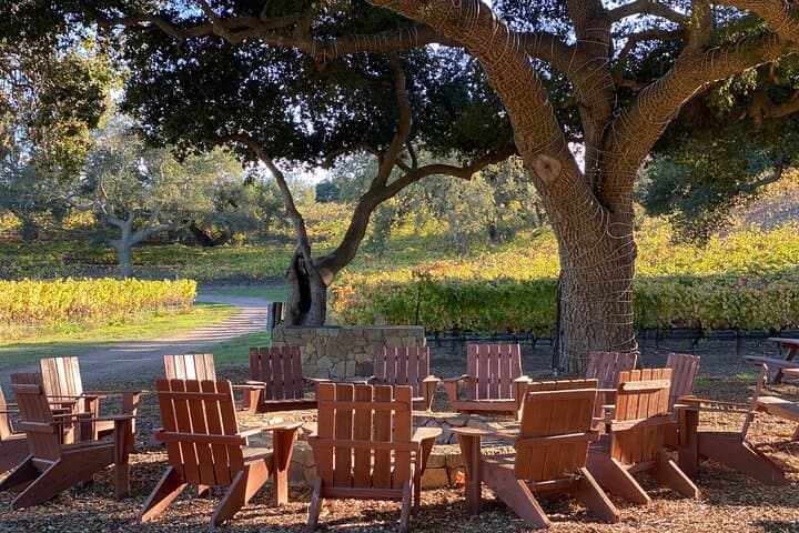 private-santa-ynez-valley-wine-tasting-tour-luxury-suv-wine-country photo 5