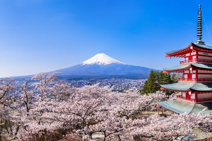 Mt Fuji and Hakone Day Tour: 5th Station, Owakudani & Lake Ashi photo 2