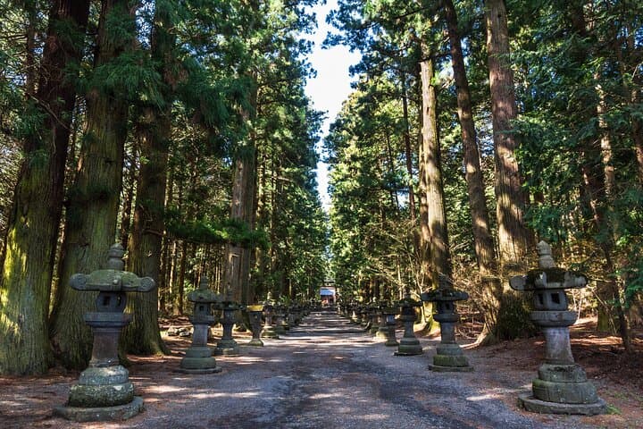 Mt Fuji and Hakone Day Tour: 5th Station, Owakudani & Lake Ashi photo 4