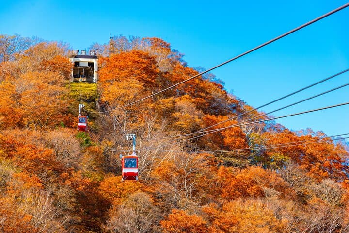 Nikko Private Tour: Toshogu Shrine, Kegon Falls & Lake Chuzenji in One Day photo 5