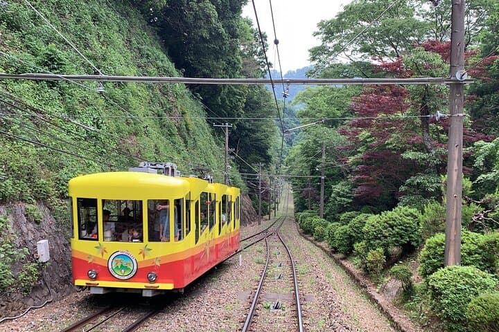 Mt. Takao Day Hike from Tokyo: Trails, Temple, and Summit Views photo 5
