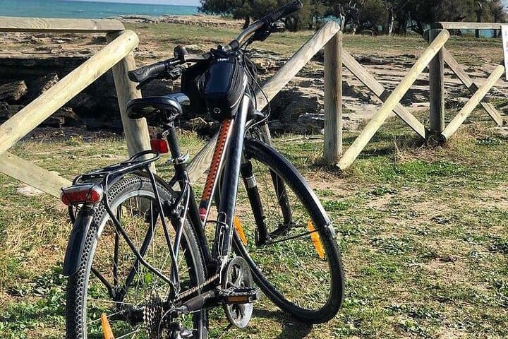 Pedal Lecce: Bike Rental to Explore Puglia’s Baroque Heart photo 3