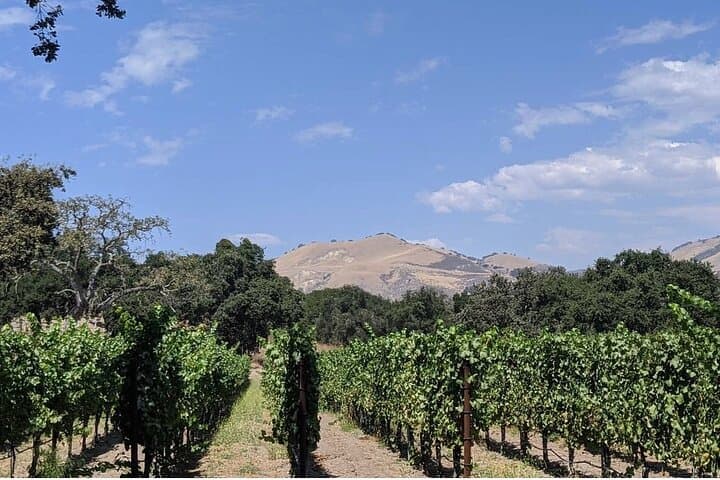 private-santa-ynez-valley-wine-tasting-tour-luxury-suv-wine-country photo 4
