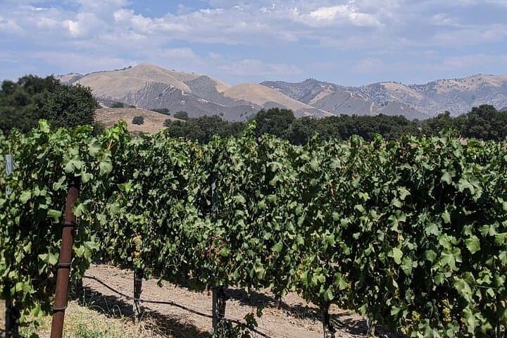 private-santa-ynez-valley-wine-tasting-tour-luxury-suv-wine-country photo 3