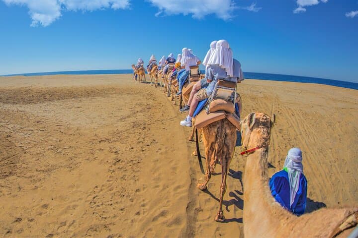 Outback Camel Ride in Cabo: Desert Safari, Tequila & Cacao at Tierra Sagrada photo 4