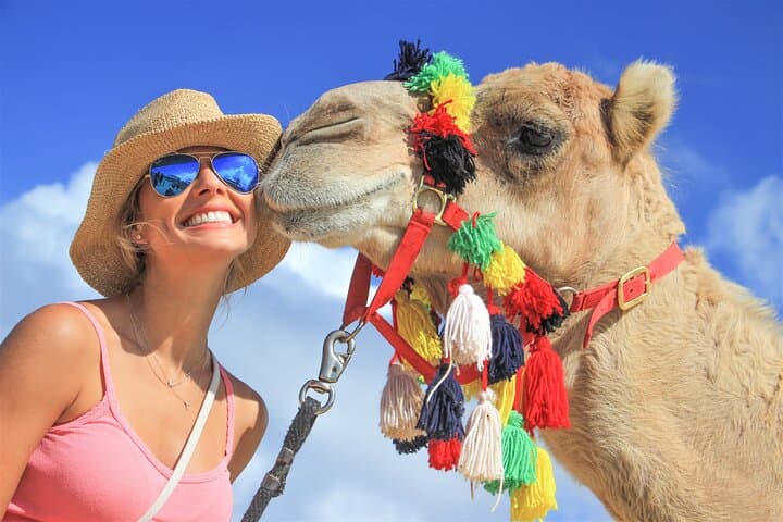 Outback Camel Ride in Cabo: Desert Safari, Tequila & Cacao at Tierra Sagrada photo 2