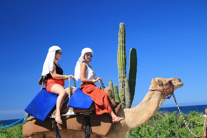 Outback Camel Ride in Cabo: Desert Safari, Tequila & Cacao at Tierra Sagrada photo 3
