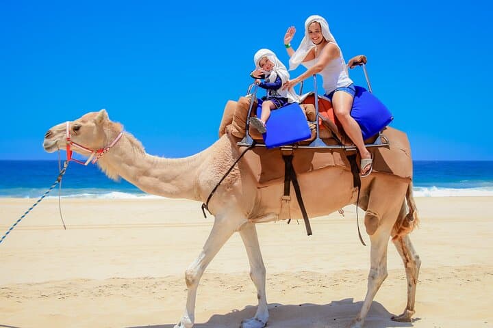 Outback Camel Ride in Cabo: Desert Safari, Tequila & Cacao at Tierra Sagrada