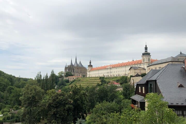 Kutna Hora UNESCO Private Wine Experience — Biodynamic Winery, Cellar Tour & Ossuary photo 4