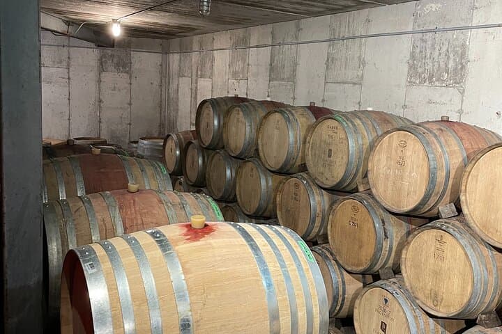 Niagara Wine Tasting and Three-Course Dinner: Vineyard Tour, Icewine & Gourmet Meal photo 4