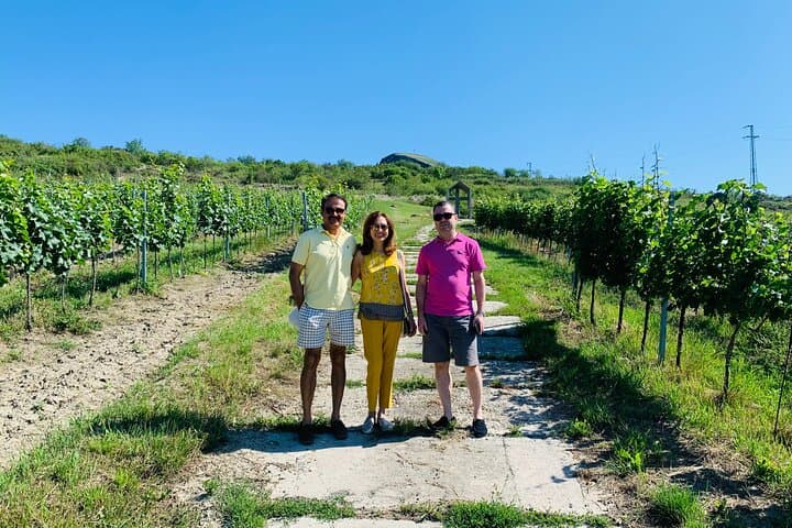Bohemia Wine Tour from Prague: Private Day to Chateaux, Cellars & Vineyards photo 2