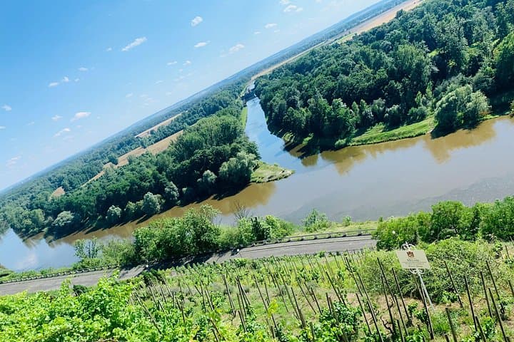 Bohemia Wine Tour from Prague: Private Day to Chateaux, Cellars & Vineyards photo 4