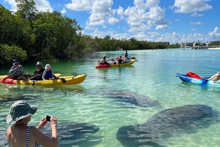 Paddle Big Hickory Island: Guided CLEAR Kayak & SUP Eco Tour in Bonita Springs