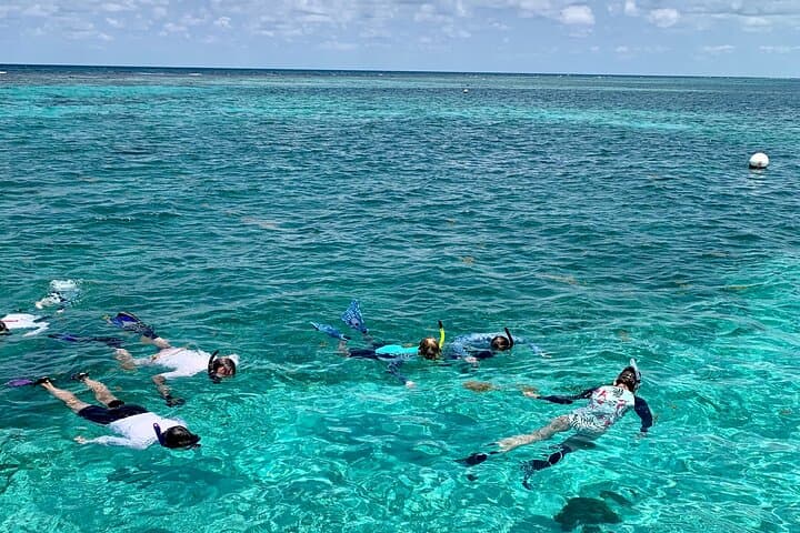 Hol Chan & Turtle Garden Snorkel Tour from Belize City
