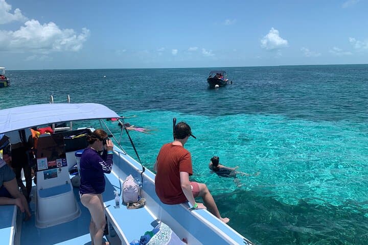 Snorkel the Belize Barrier Reef: Green Morays & Sting Ray Alley Adventure photo 3