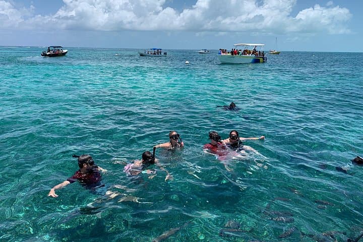 Snorkel the Belize Barrier Reef: Green Morays & Sting Ray Alley Adventure photo 4