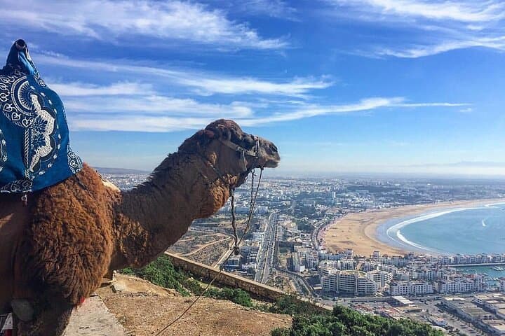 Agadir Paradise Valley: 2-Hour Quad & Camel Ride Combo photo 5