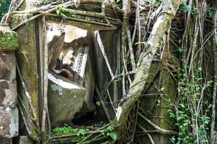 Full-Day Koh Ker and Beng Mealea Temple Adventure from Siem Reap photo 6