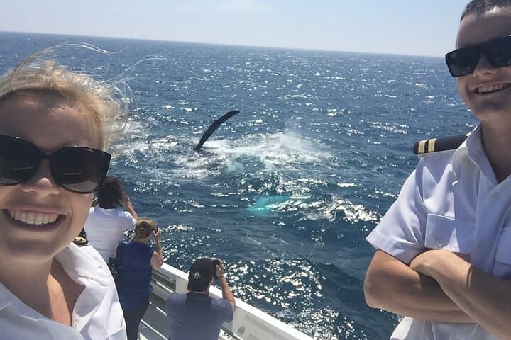 Hillarys Boat Harbour 2-Hour Whale Watching Cruise — Southern Humpbacks (Perth) photo 4