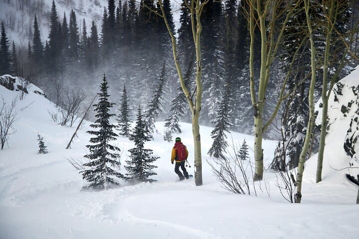 Ridder Camp: 6-Day Altai Backcountry Ski Touring in Kazakhstan photo 5