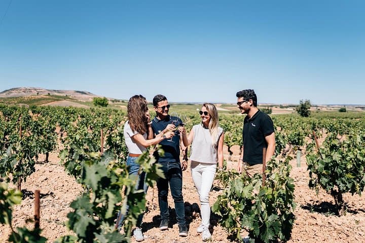 Segovia & Ribera del Duero Day Tour: Wine Tasting and UNESCO Sights from Madrid