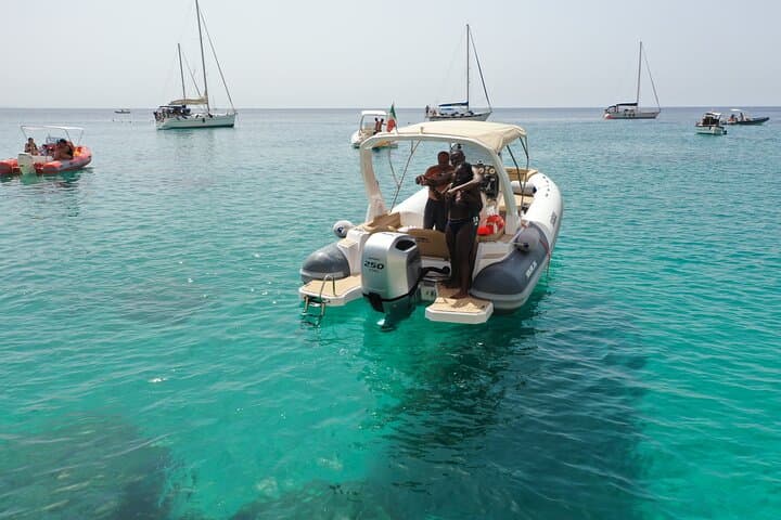 Cagliari Boat Tour: 4 Stops and Possible Dolphin Sightings photo 5
